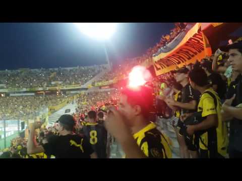 ""Despacito" TEMA NUEVO PEÑAROL ||Barra Amsterdam - Recibimiento vs Boston River 2017" Barra: Barra Amsterdam • Club: Peñarol