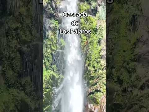 Cascada de Los Pájaros, Cortaderas San Luis, Argentina. #metutrek #cuestadecarpinteriasenderismo