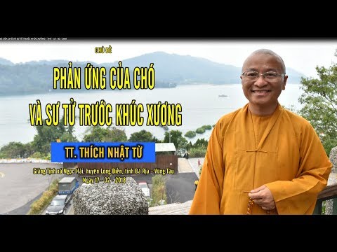 Phản Ứng Của Chó Và Sư Tử Trước Khúc Xương - TT. Thích Nhật Từ