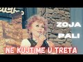 Në Kujtime U Treta Zoja Pali