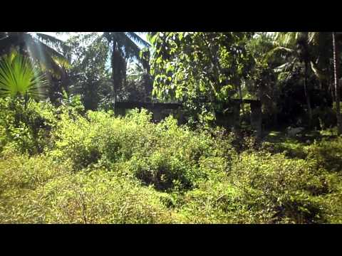 loti bo.6 banga..300 sq meetter ...