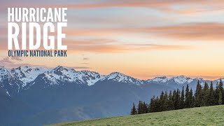 Hurricane Ridge - Olympic National Park - Travel Photography