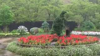 preview picture of video 'Kakegawa Casle 掛川城（sizuoka）106　gardening in the Kakegawa casle'