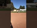 Fielding/hitting highlight