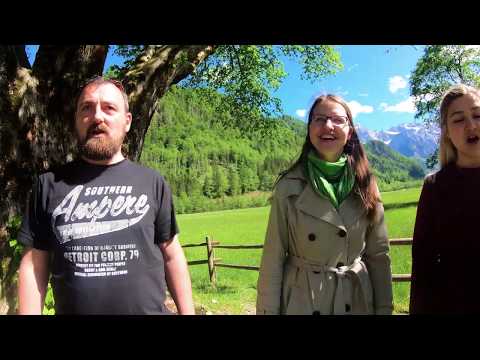 APZ Tone Tomšič in koščki železa - Lipa zelenela je