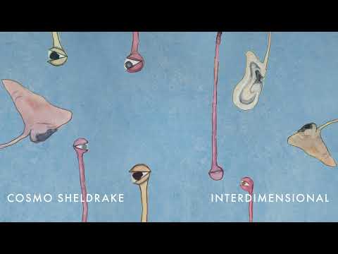 Cosmo Sheldrake - Interdimensional