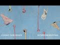 Interdimensional by Cosmo Sheldrake