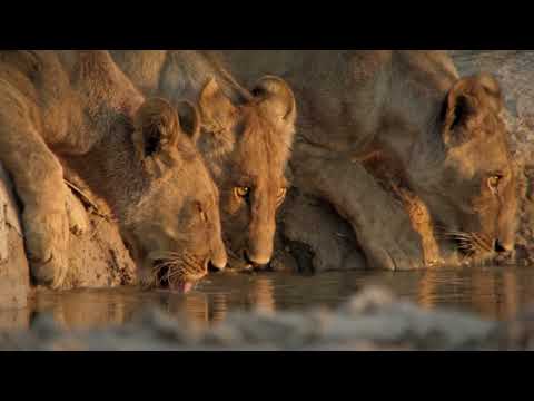 Starting 2 August | Hostile Waters | National Geographic MENA