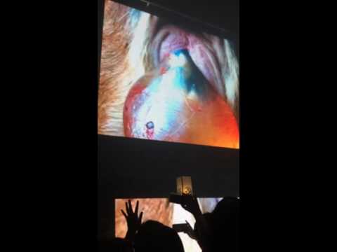 160612.Arca & Jesse Kanda@Shibuya Tokyo part.1