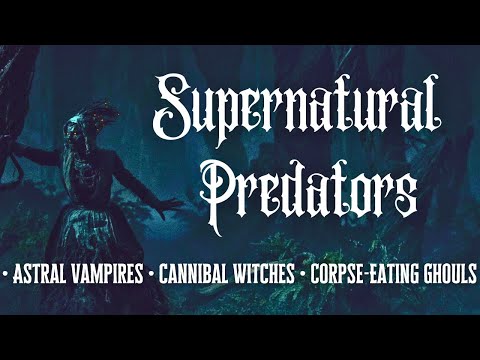 Vampiri viventi: la storia oscura della sanguisuga | Maghi neri e metafisica