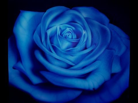 Lino Tozzi e Rosy viola ' chist'ammore