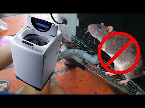 YouTube video about: How to keep rats away from washing machine?