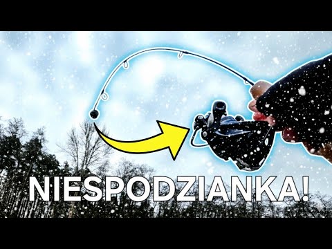 TO jest PRZYŁÓW! Nie spodziewałem się TEGO pod lodem! Wędkarstwo Podlodowe!