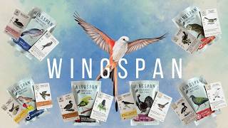 Wingspan video thumbnail