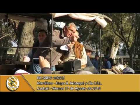 17-08-18 Nota Ricardo Arzoz - Hugo R. Aristegui y Cia S.R.L. - Cacharì