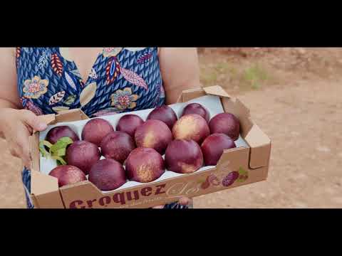 Rencontre avec les producteurs d'Istres