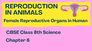 Reproduction in Animals | Female Reproductive Organs | Class 8 Science | NCERT | CBSE | Chapter 6