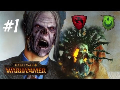 Total War Warhammer PvP Campaign 3 #1: ItalianSpartacus (Wood Elves) vs. Turin (Vampire Counts)