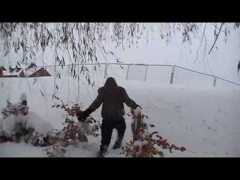 Dustin o'halloran prelude 2 video