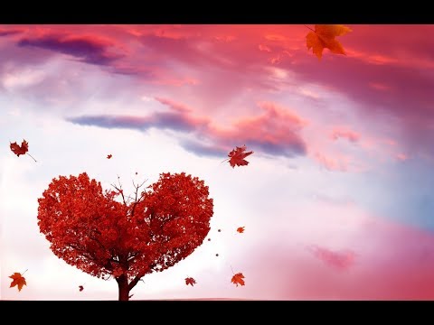 Я больше не люблю