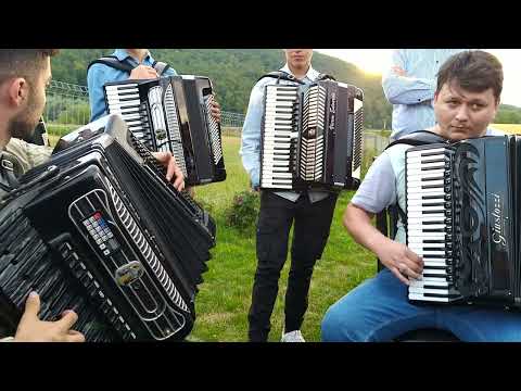 Natanael Dumitraș și Dănuț Niculcea ~ instrumental