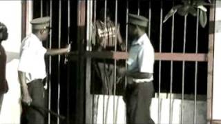 Download lagu Arcell - Nao sou culpado mp3 Download lagu Arcell - Nao sou culpado mp3