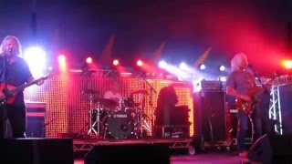 The Bevis Frond - He&#39;d Be A Diamond live at Glastonbury 2014