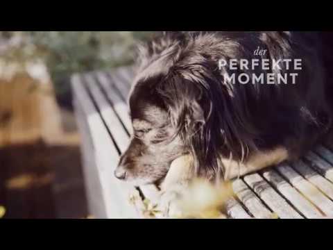Der perfekte Moment ... teaser