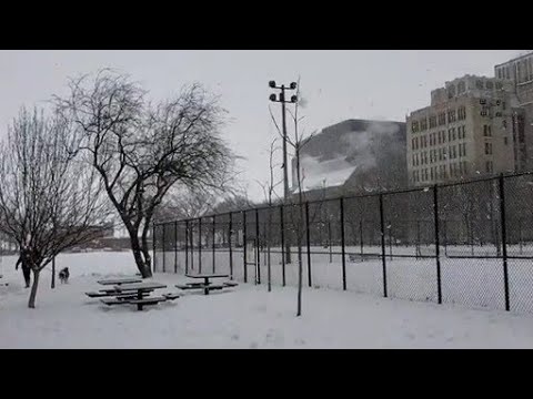 Snow in downtown Chicago (Feb 8, 2021)