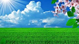 Ziana Zain Riwayat Cinta