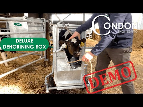Brand New Condon Deluxe Calf Dehorning Crate - Image 2