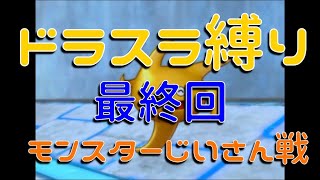 テリーのワンダーランド　ドラスラ縛りでゆっくり実況♯12