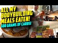 Pro Comeback - Day 34 - EATING 500 GRAMS OF CARBS - ALL MEALS EATEN!