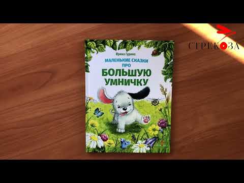 Миниатюра изображения товара Художественная книга Стрекоза Маленькие сказки про большую умничку / 9785995156284 (Гурина И.)