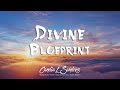 Divine Blueprint - What is Your Life's Purpose? | Sunshine For Your Soul