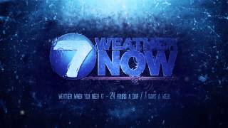 PURPLE GORILLA GRUNGE REEL