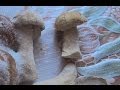 Белые грибы - лучший способ хранения 