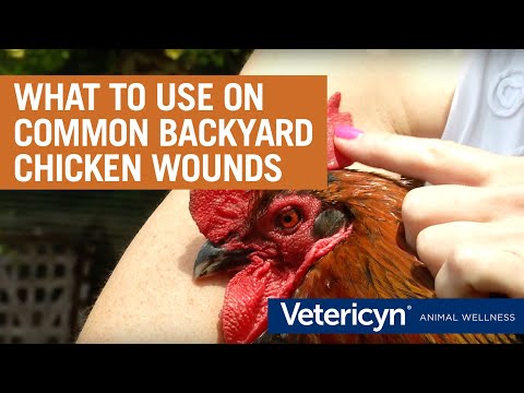 Vetericyn Poultry Care for Pecking Sores, Bumble Foot, Wounds, and More!