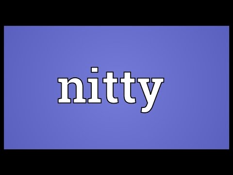 Nitty Meaning
