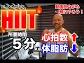 【HIIT】5分で汗だく!マンションOKなビースト式HIITで楽しく脂肪燃焼!