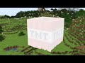 Too Big Tnt