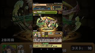 【パズドラ】ゴットフェス（前半）4連引いてみた！