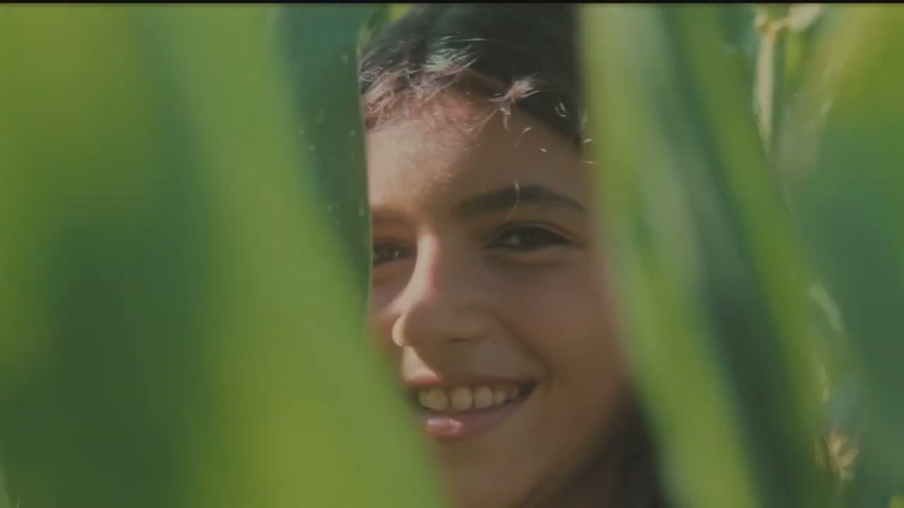 Bialetti Espresso maker Moka Express 3 cups, Silver Bialetti Espresso maker Moka Express 3 cups, Silver