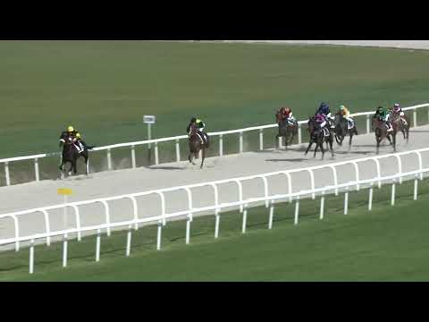 2018.09.16. 04. futam - VAJDA SÁNDOR EMLÉKVERSENY-NYERETLENEK VERSENYE (V.kat.) (szintetikus pálya)