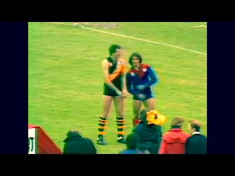 The 1981 VFL medal winners do a lap of honour.