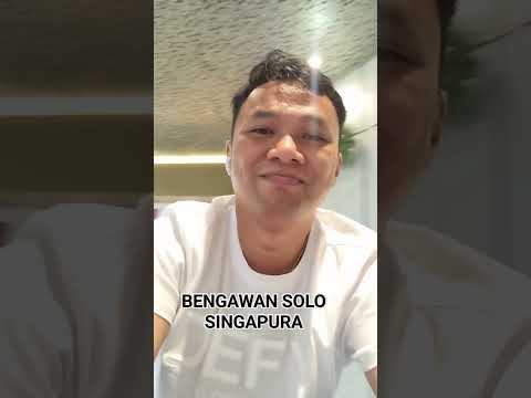 Aeroporto de Changi // Solo de Bengawan