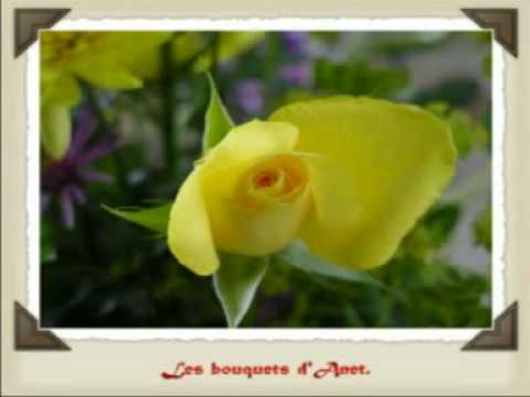 kadir tapucu ha kıyamet kopmuş ha sen gitmişsin