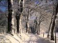 Winter In Bremen Farge 2010