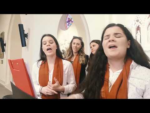 Izdvojeno 19.6.2019. - Mons. Petar Palić u Irskoj