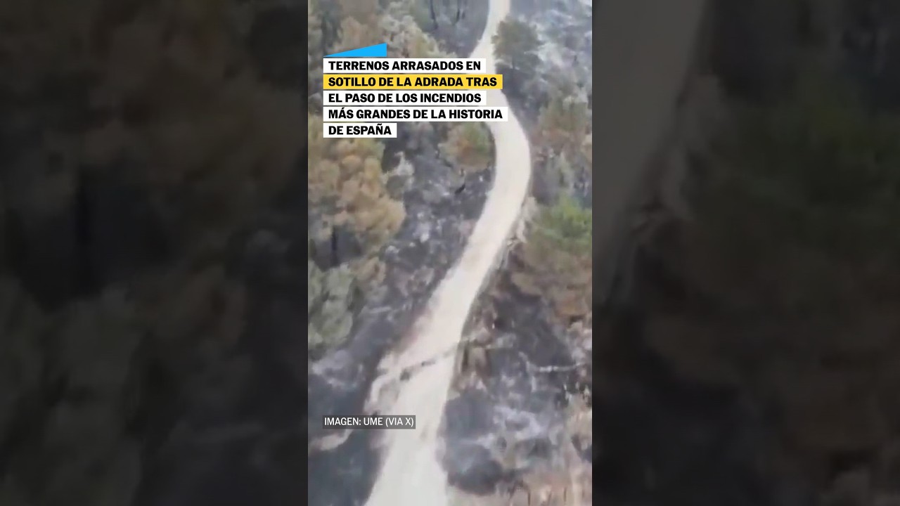 TERRENOS arrasados en ÁVILA a vista de DRON #shorts